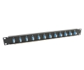 19 1U Panel with 12 Duplex LC Blue Adapters