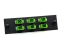 FType Plate with 6 Simplex SC Green Adapters