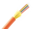 12 Fiber Distribution Cable Multimode OM1 OFNR