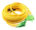 100ft 12 LC/APC to 12 SC/APC Singlemode OS2 9/125 Double Fanout Cable