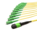 1m MTP Male to 12 SC APC 12 Fiber Singlemode OS2 9/125 Fanout Cable