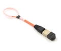 12 Fiber MTP Std Loopback F OM1 12 Pinout
