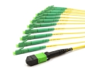 10m MTP Female to 12 LC APC 12 Fiber Singlemode OS2 9/125 Fanout Cable