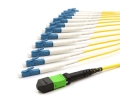 5m MTP Male to 12 LC UPC 12 Fiber Singlemode OS2 9/125 Fanout Cable