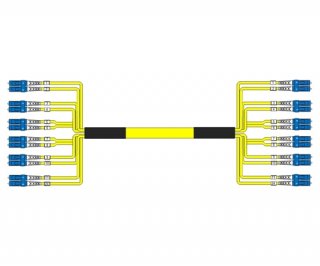 12 Fiber Singlemode Custom Fiber Cable Assembly
