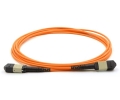 1m 12 Fiber MTP Cable Multimode OM1 MTP MTP