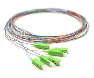 3m 6 Fiber SC/APC Pigtail Singlemode OS2