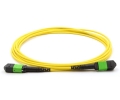 2m 12 Fiber MTP Cable Singlemode MPO MPO