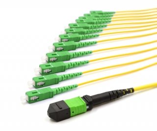 3m MTP Female to 12 SC APC 12 Fiber Singlemode OS2 9/125 Fanout Cable