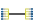 12 Fiber Singlemode Custom Indoor/Outdoor Fiber Cable Assembly