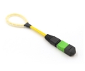 12 Fiber MTP Std Loopback F OS2 112 Pinout