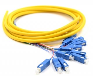 3m 12 Fiber SC Pigtail Singlemode OS2