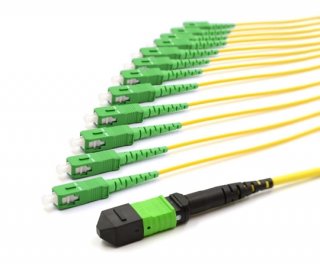 5m MTP Male to 12 SC APC 12 Fiber Singlemode OS2 9/125 Fanout Cable
