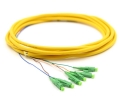 3m 6 Fiber LC/APC Pigtail Singlemode OS2