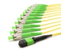 3m MTP Female to 12 FC APC 12 Fiber Singlemode OS2 9/125 Fanout Cable