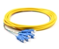 3m 6 Fiber SC Pigtail Singlemode OS2