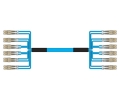 12 Fiber Multimode OM3 Custom Fiber Cable Assembly
