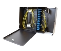 12 LGX Wall Mount Patch Panel with 2 Doors