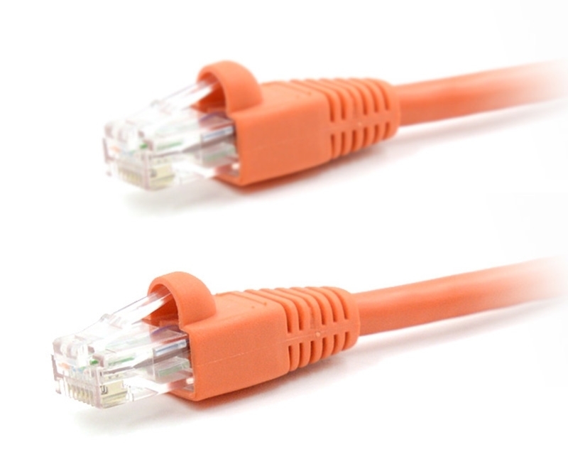10ft Cat6 550MHz UTP Ethernet Orange