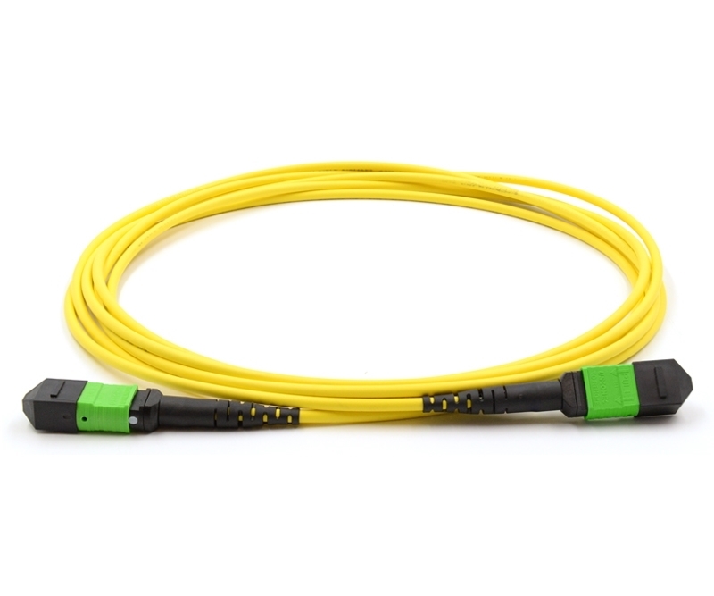 1m 12 Fiber MTP Cable Singlemode MTP MTP