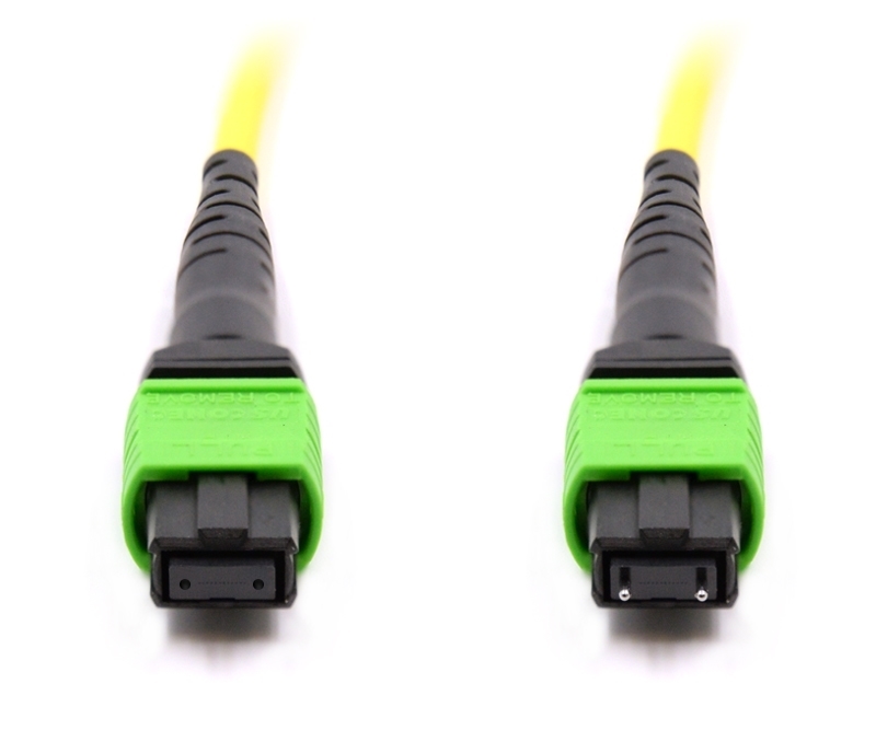 1m 12 Fiber MTP Cable Singlemode MTP MTP