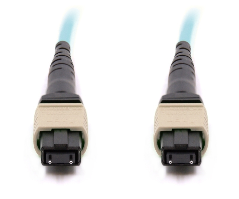 2m 12 Fiber MTP Cable Multimode OM4 MTP MTP