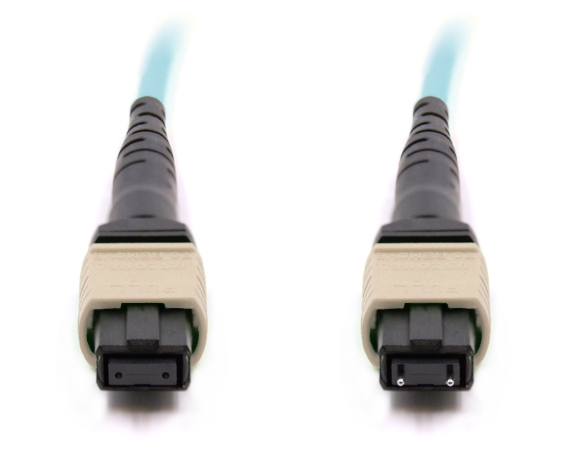 2m 12 Fiber MTP Cable Multimode OM3 MTP MTP