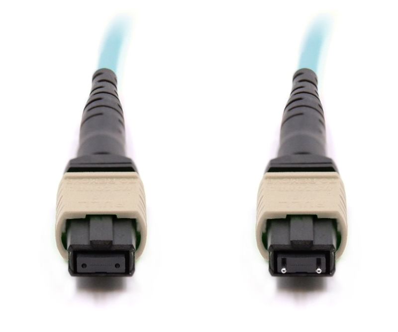 2m 12 Fiber MTP Cable Multimode OM3 MTP MTP