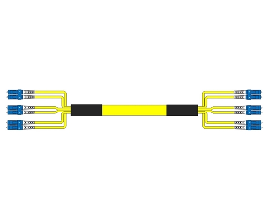 6 Fiber Singlemode Custom Fiber Cable Assembly 6 Fiber Singlemode Custom Fiber Cable Assembly