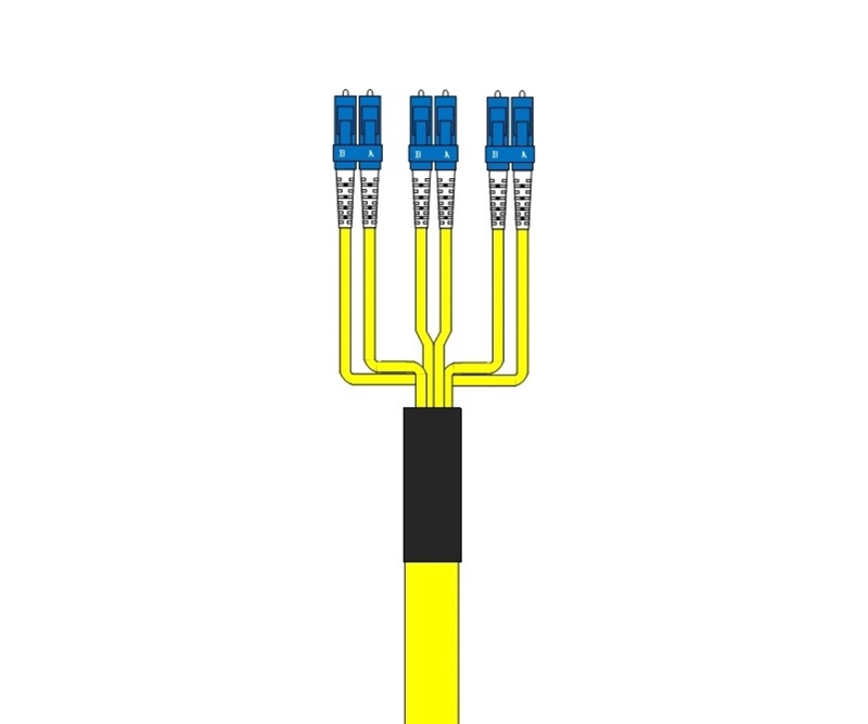 6 Fiber Singlemode Custom Fiber Cable Assembly
