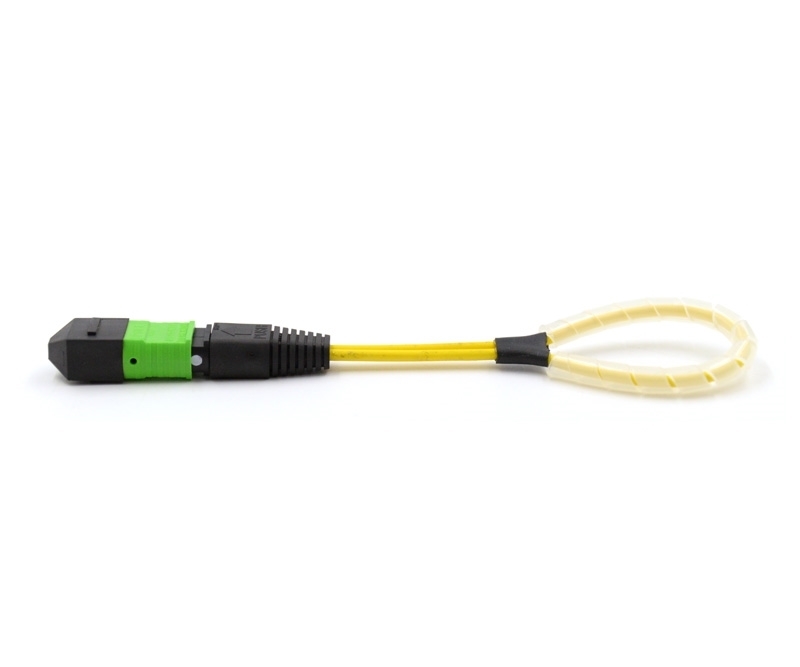 12 Fiber MTP Std Loopback F OS2 12 Pinout