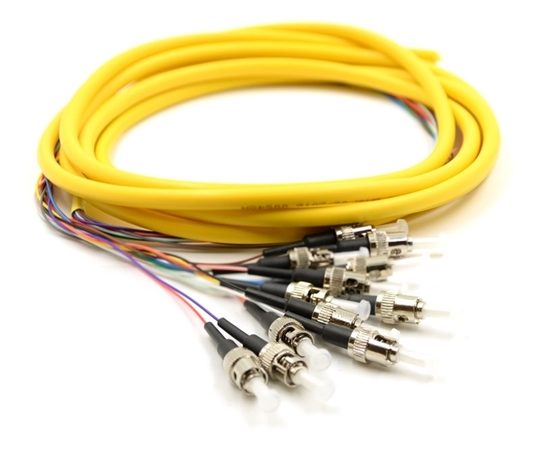 3m 12 Fiber ST Pigtail Singlemode OS2 3m 12 Fiber ST Pigtail Singlemode OS2