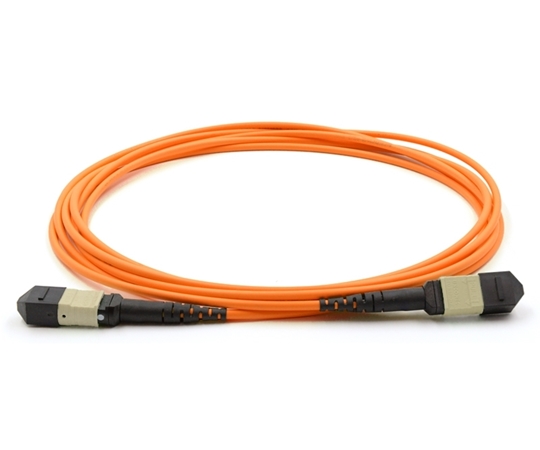 1m 12 Fiber MTP Cable Multimode OM1 MTP MTP 1m 12 Fiber MTP Cable Multimode OM1 MTP MTP