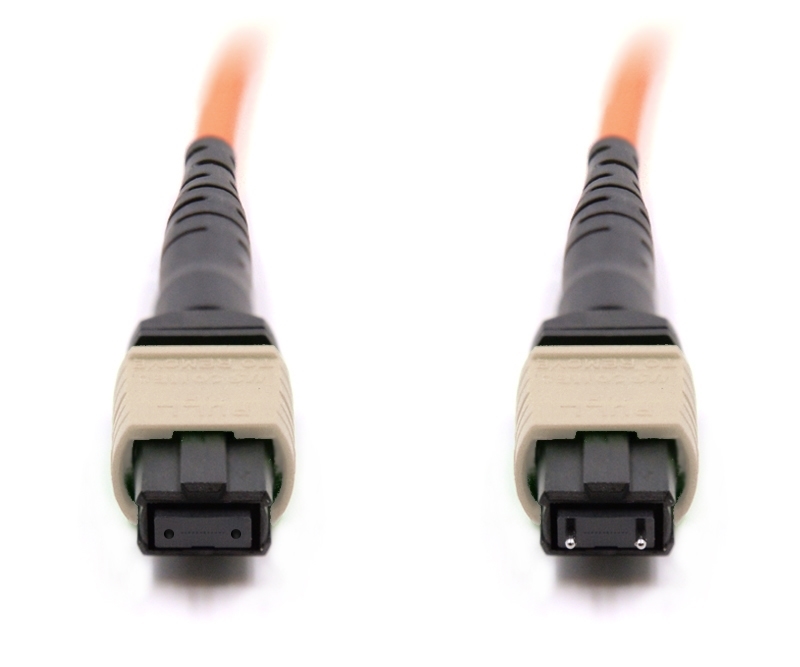 1m 12 Fiber MTP Cable Multimode OM1 MTP MTP