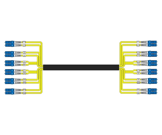 24 Fiber Singlemode Custom Indoor/Outdoor Fiber Cable Assembly 24 Fiber Singlemode Custom Indoor/Outdoor Fiber Cable Assembly