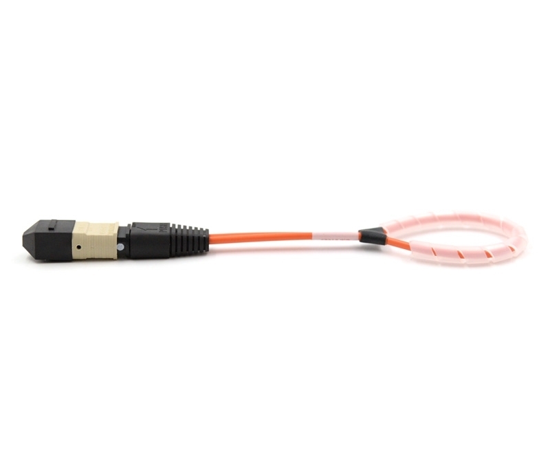 24 Fiber MTP Elite Loopback F OM3 113 Pinout
