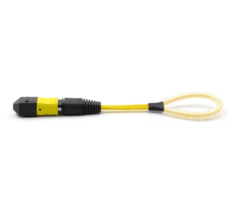 24 Fiber MTP Elite Loopback M OS2 113 Pinout