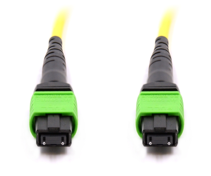 2m 24 Fiber MTP Cable Singlemode Pin 113